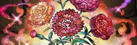 【8787】カーネーションの星光華