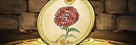 【8789】カーネーションの標本