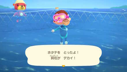 ラコスケから入手する