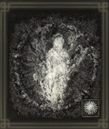 白い影の誘い画像