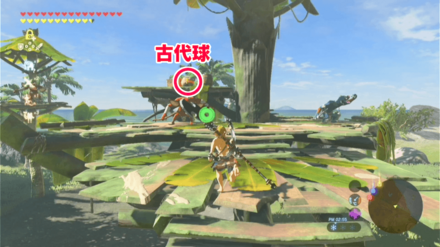 野生の試練の攻略