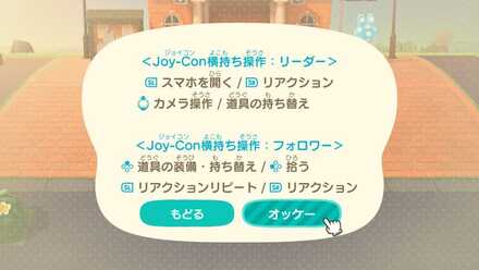 ジョイコン横持ち操作