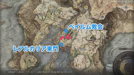 カッコウ騎士の出現場所例