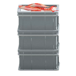 つまれたサカナのコンテナのグレーの画像