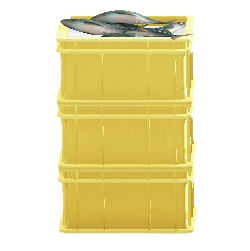 つまれたサカナのコンテナのイエローの画像