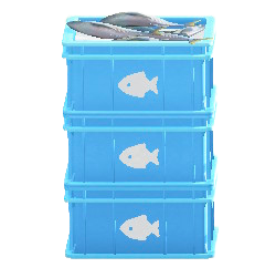 つまれたサカナのコンテナのサカナの画像