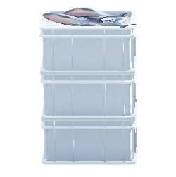 つまれたサカナのコンテナのホワイトの画像