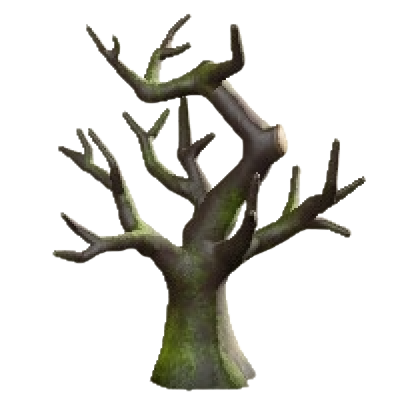 くちはてたきの苔石の画像