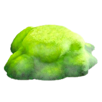 ヒカリゴケのいわのグリーンの画像