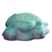 ヒカリゴケのいわのグレーの画像