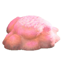 ヒカリゴケのいわのピンクの画像