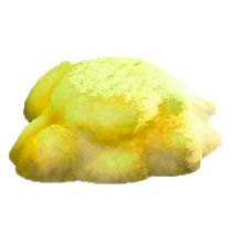 ヒカリゴケのいわのイエローの画像