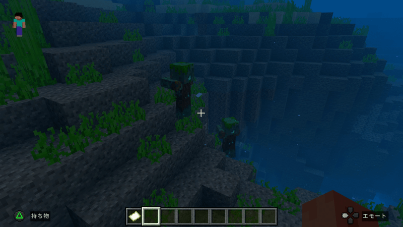 海や河川の水辺で出現する