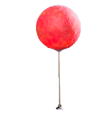 ヒカリゴケのバルーンのレッドの画像