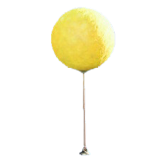 ヒカリゴケのバルーンのイエローの画像