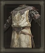 聖樹紋のサーコート画像