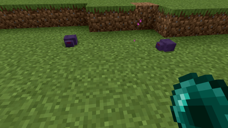 エンダーパールを使った時に出現する