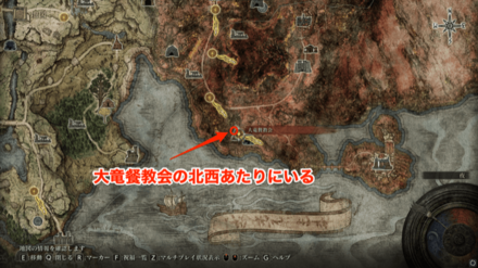 失地騎士の出現場所例