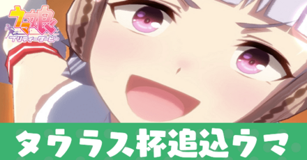 タウラス杯追込