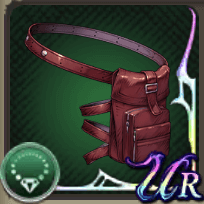 ライトニングのレッグバッグ