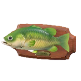 かべかけブラックバス画像