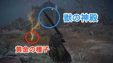 獣の神殿と黄金の種子の場所