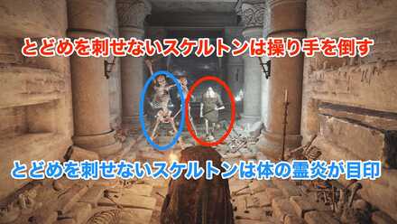 止めをさせないスケルトン