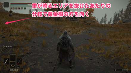 雷が降るエリアを抜けたあたりの分岐で黄金樹の方を向く