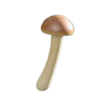 キノコのステッキ画像