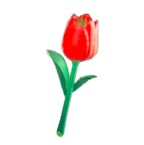 チューリップのステッキ画像