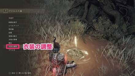 衣装の調整