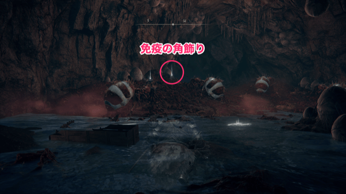 免疫の角飾りの場所