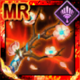 満開の春杏の画像