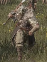 カイデンの傭兵の見た目