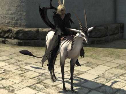 アンテロープ・スタッグ