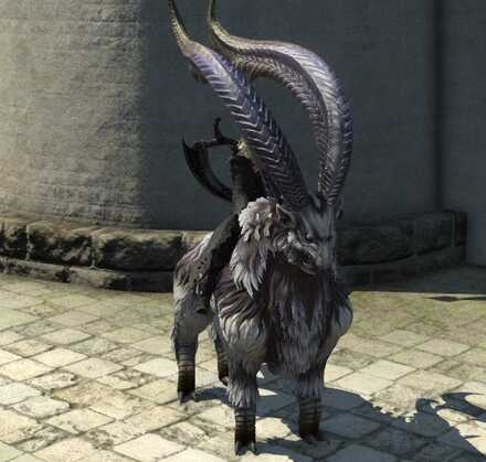 メガロトラグス