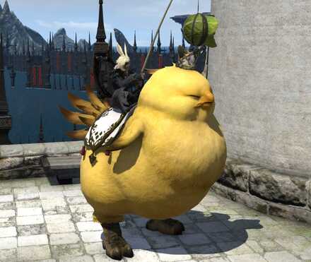 パレードチョコボ