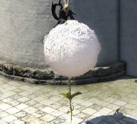 クラウドマロウ