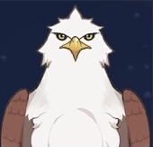 石鳶画像
