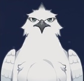白練鷹画像