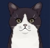 タキシード画像