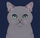 エメラルド画像