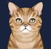 レッドタビー画像