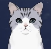 北地ショートヘア画像