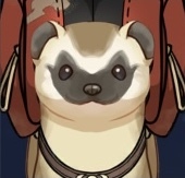 宝盗イタチ・中堅画像