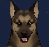 シェパード画像