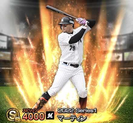 マーティン画像