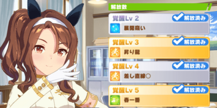 覚醒Lv5まで上げておく