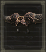 大角の頭環画像