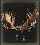 光角の頭環画像